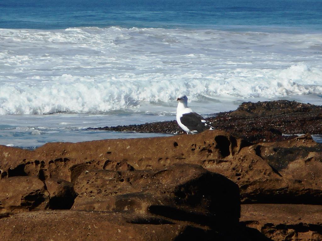 The Coelacanth Guest House And Beach Thyme Self Catering Kiddʼs Beach Eksteriør bilde
