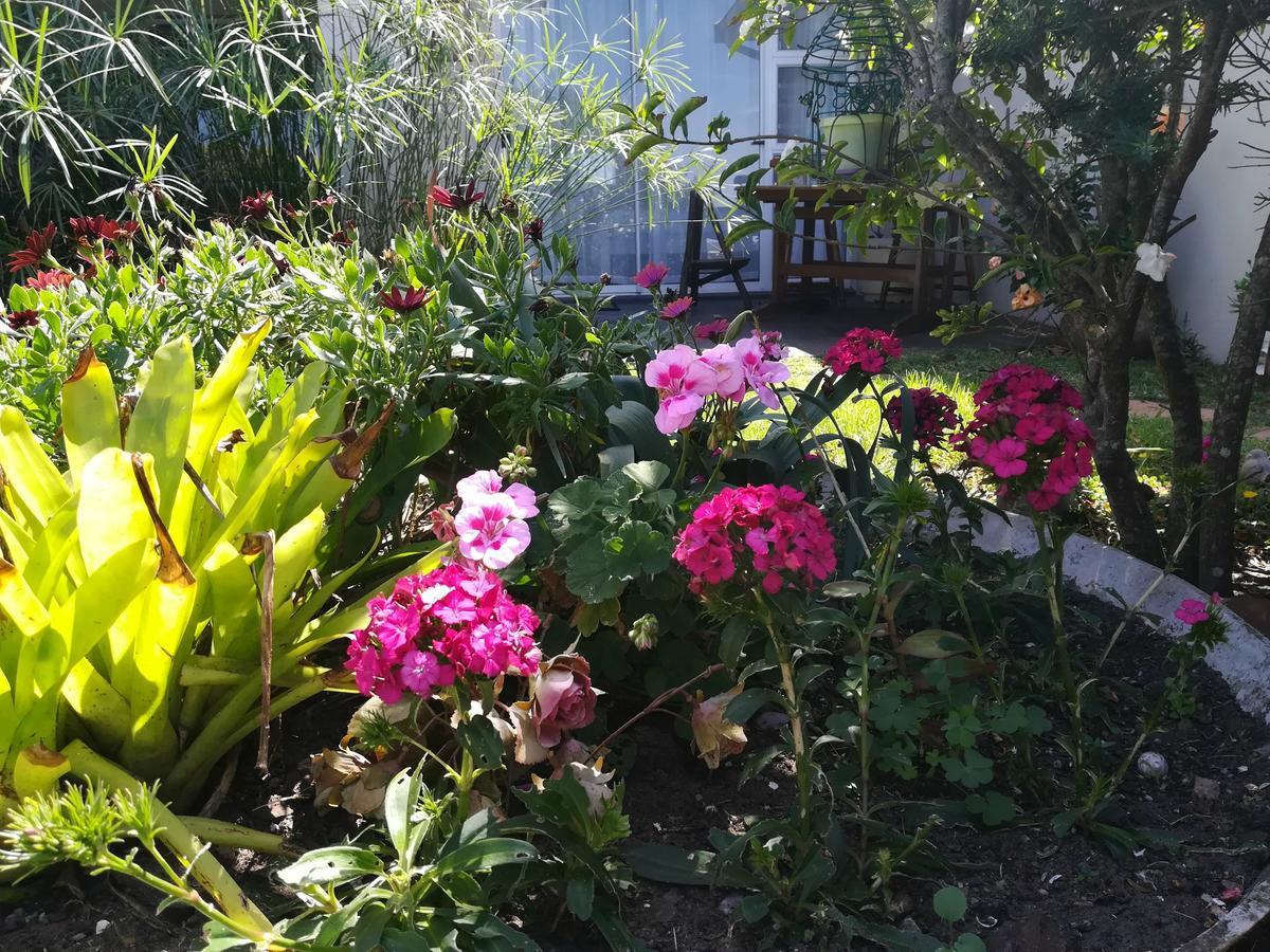 The Coelacanth Guest House And Beach Thyme Self Catering Kiddʼs Beach Eksteriør bilde