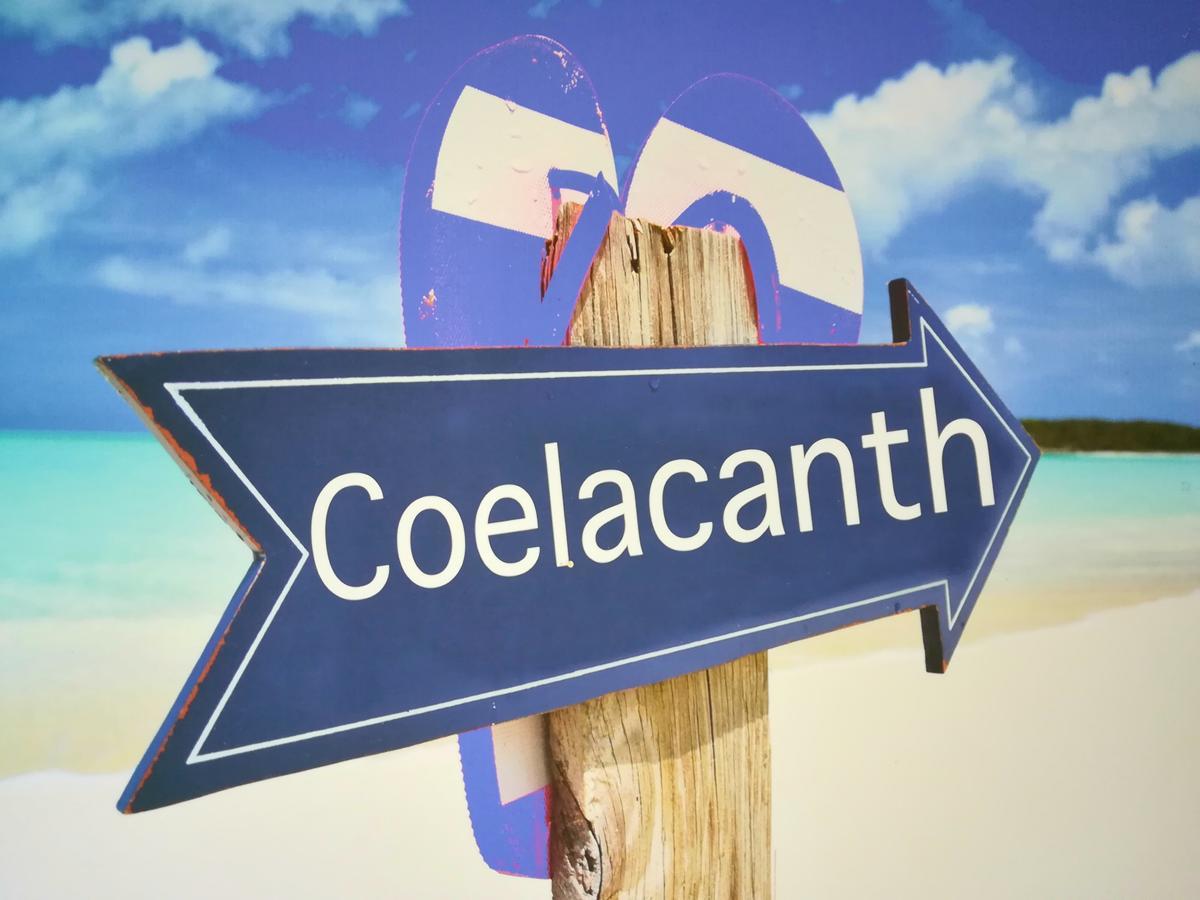The Coelacanth Guest House And Beach Thyme Self Catering Kiddʼs Beach Eksteriør bilde